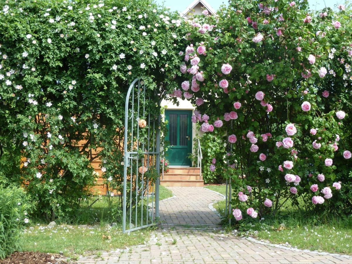 Apartamento Ferien auf Rügen Familie Geist Garz  Exterior foto